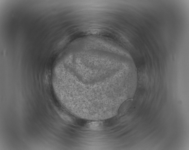 X0000062790126200601051055