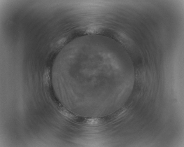 X0000062790127200601051055