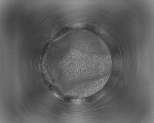 X0000062790131200601051055