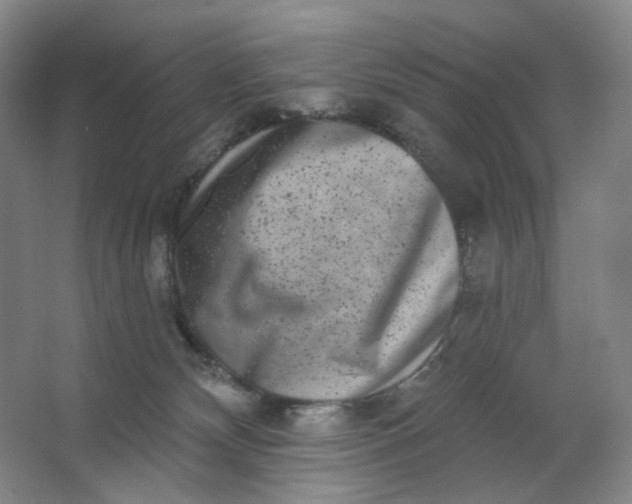 X0000062790132200601051055