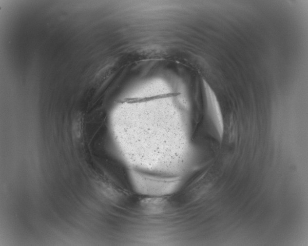 X0000062790133200601051055