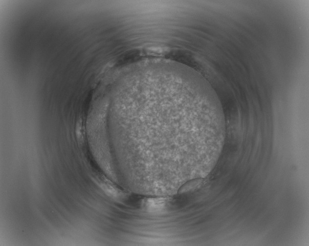 X0000062790134200601051055