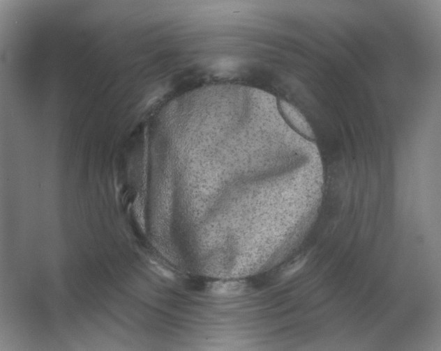 X0000062790135200601051055