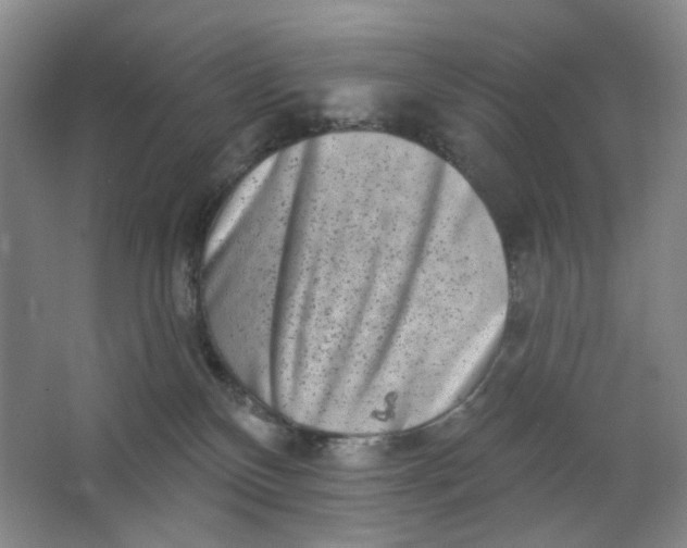 X0000062790136200601051055