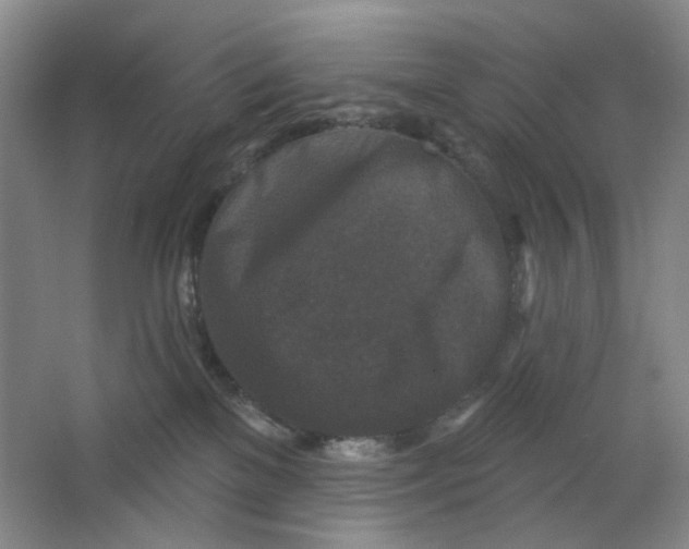 X0000062790137200601051055