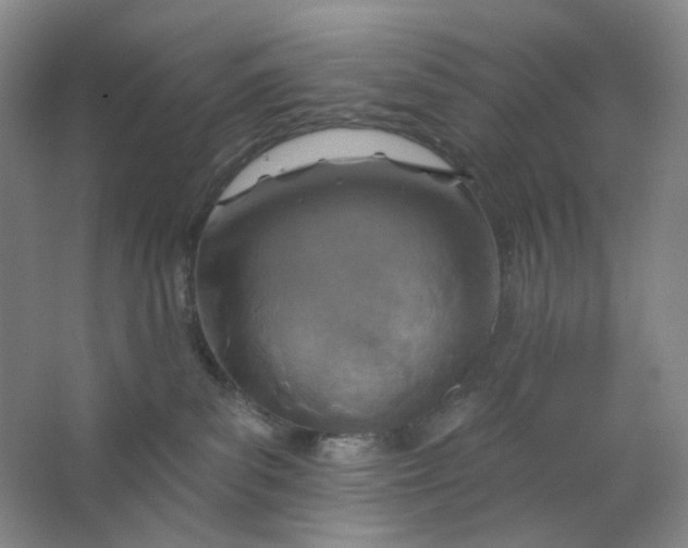 X0000062790139200601051055