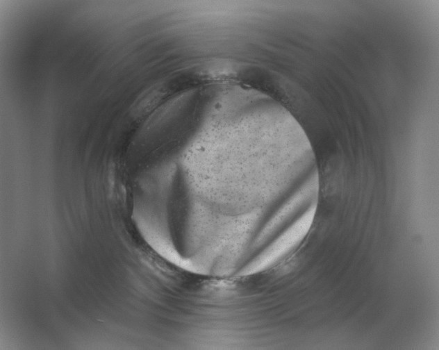 X0000062790140200601051055