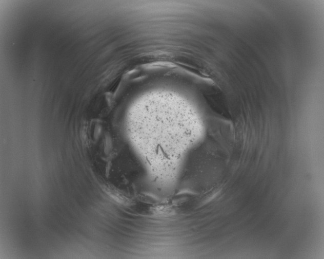 X0000062790141200601051055