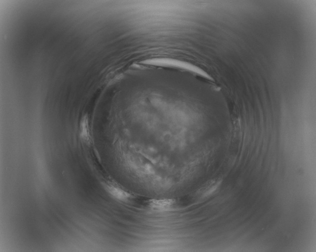 X0000062790143200601051055