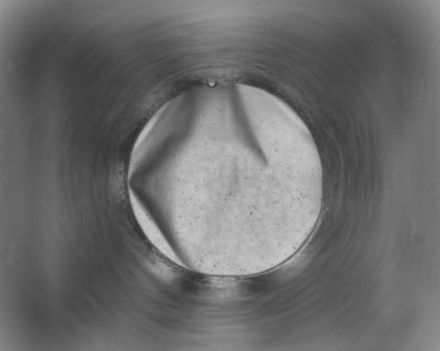 X0000062790144200601051055