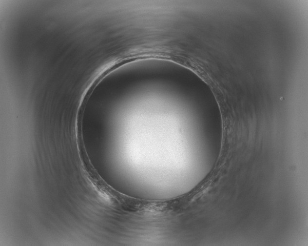 X0000062790148200601051054
