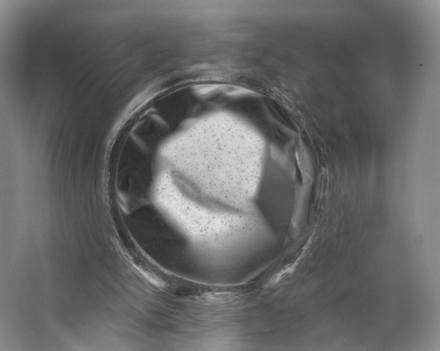 X0000062790150200601051054