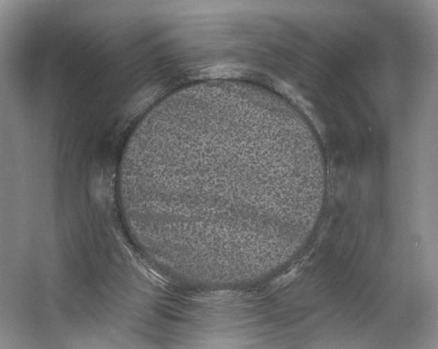 X0000062790153200601051055