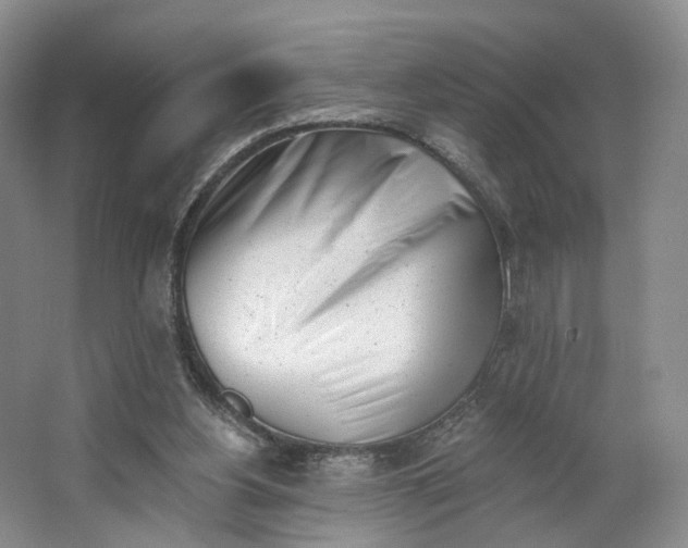 X0000062790156200601051055