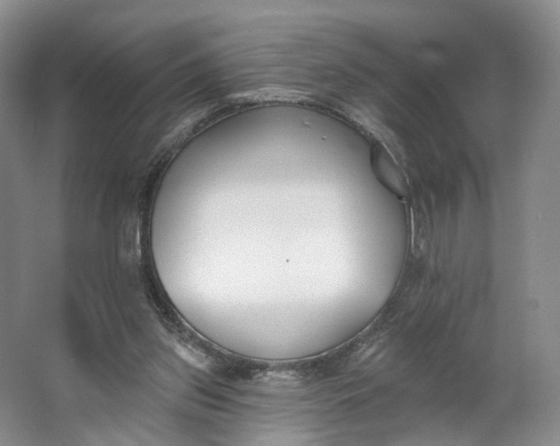 X0000062790157200601051055