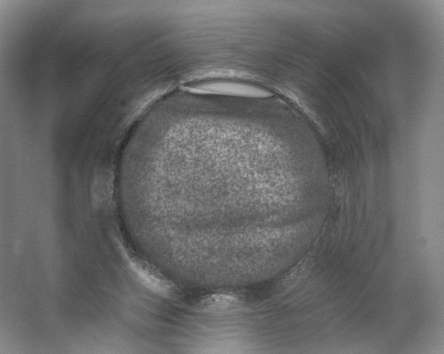 X0000062790159200601051055