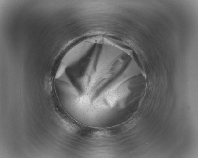 X0000062790160200601051055