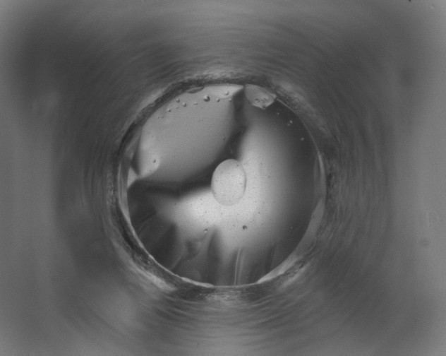 X0000062790164200601051055