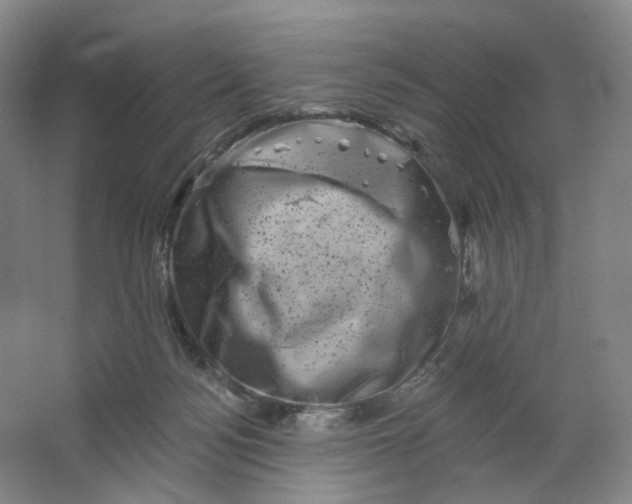 X0000062790172200601051055