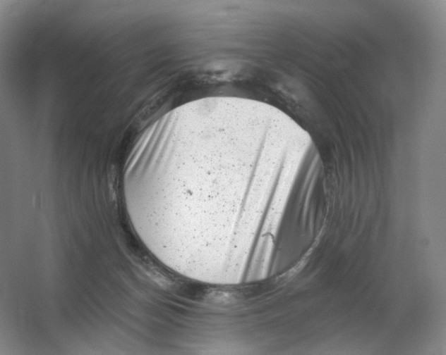 X0000062790174200601051055