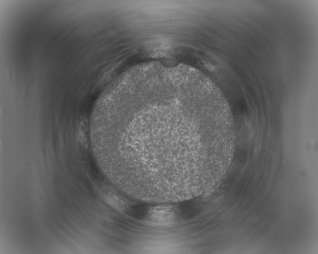 X0000062790175200601051055