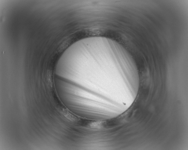 X0000062790178200601051055