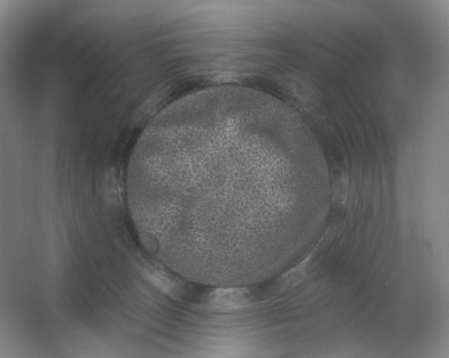 X0000062790179200601051055