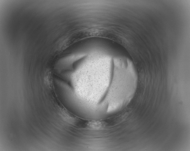 X0000062790181200601051055