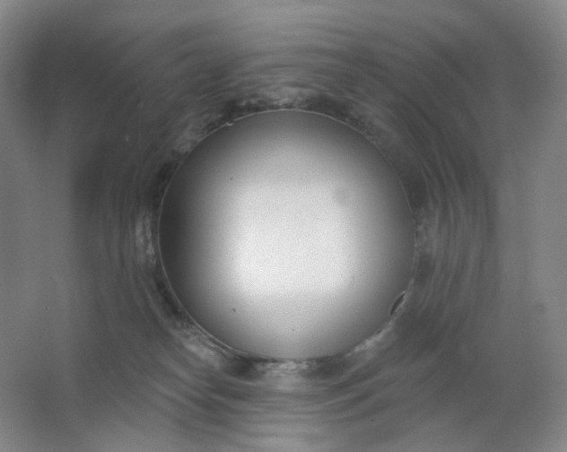 X0000062790182200601051055