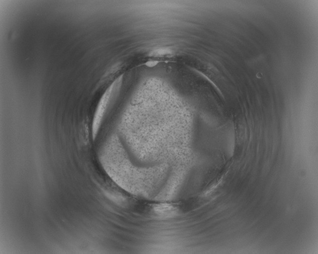 X0000062790183200601051055