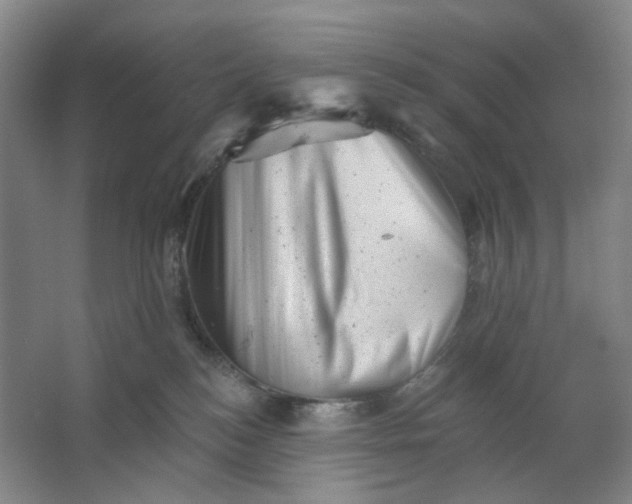 X0000062790184200601051055