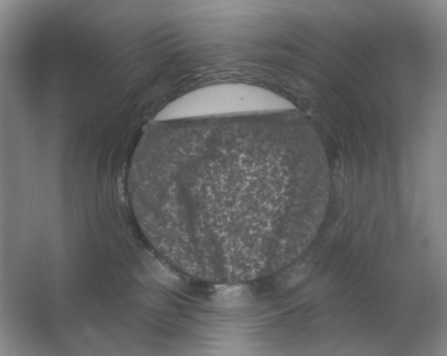 X0000062790185200601051055