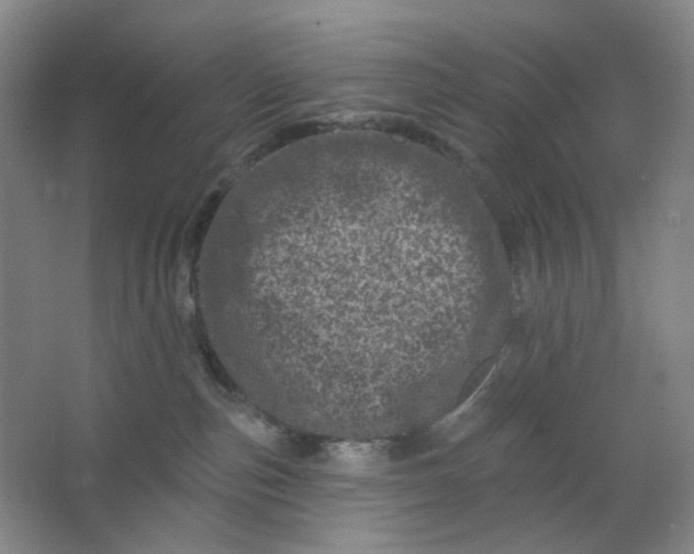 X0000062790187200601051055