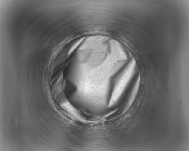 X0000062790193200601051054