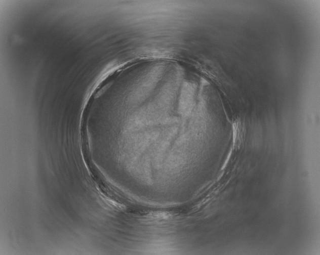 X0000062790195200601051054