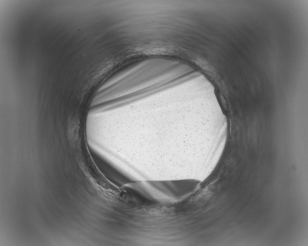 X0000062790201200601051054