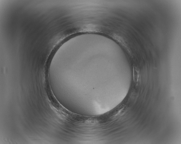 X0000062790204200601051054