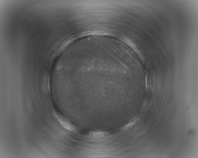 X0000062790205200601051054