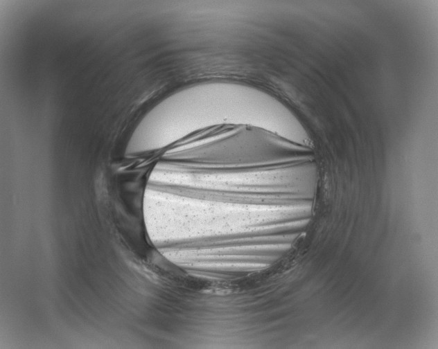 X0000062790211200601051054