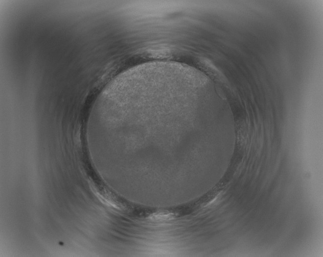 X0000062790213200601051054
