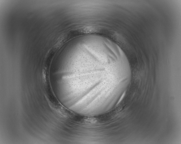 X0000062790214200601051054