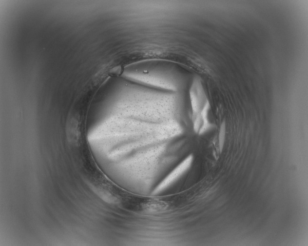 X0000062790215200601051054