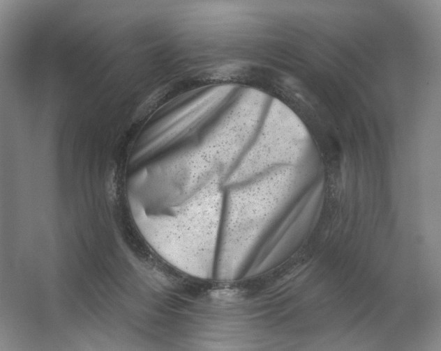 X0000062790216200601051054
