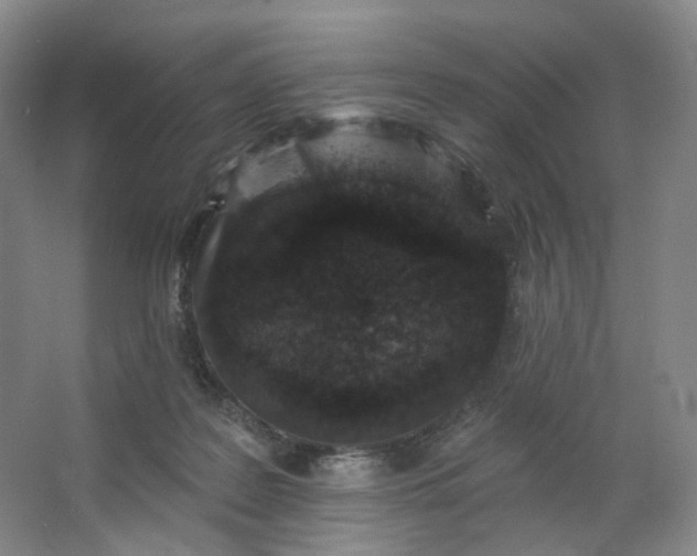 X0000062790219200601051054