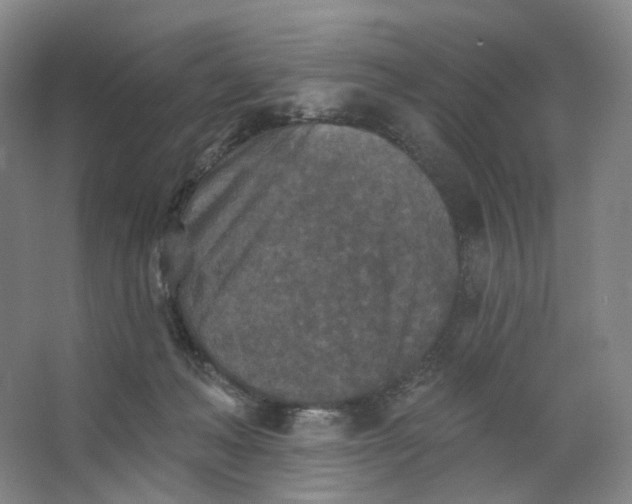 X0000062790222200601051054