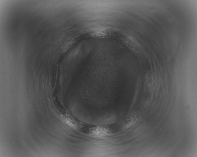 X0000062790223200601051054