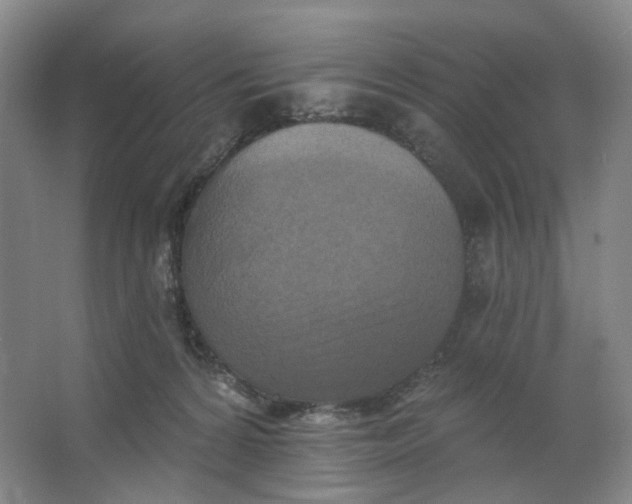 X0000062790224200601051054