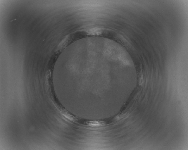 X0000062790229200601051054