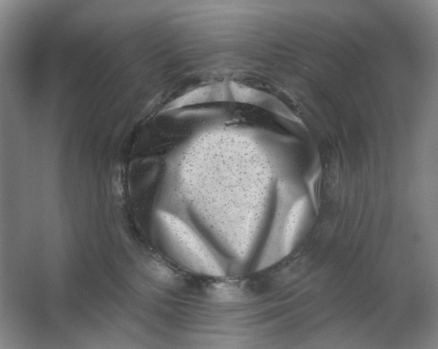 X0000062790232200601051054