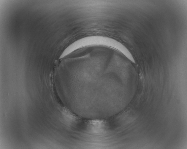 X0000062790233200601051054